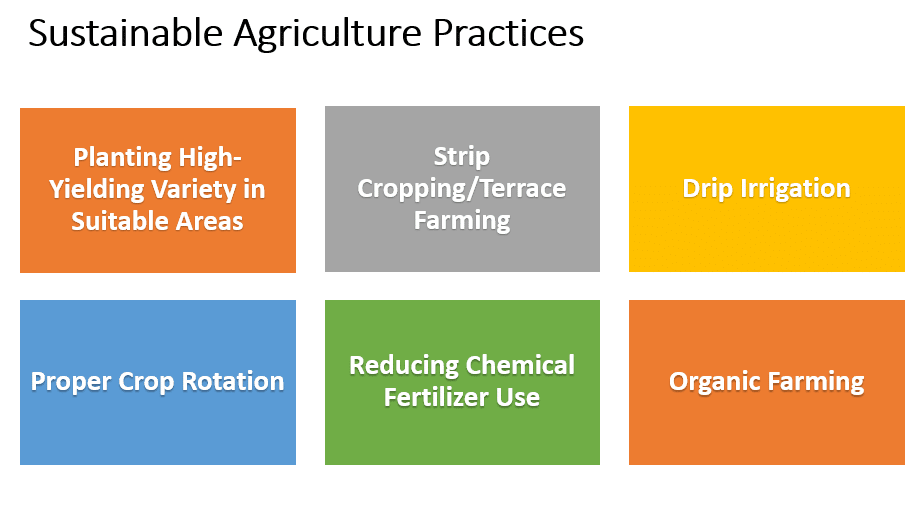 Sustainable Agriculture Practices