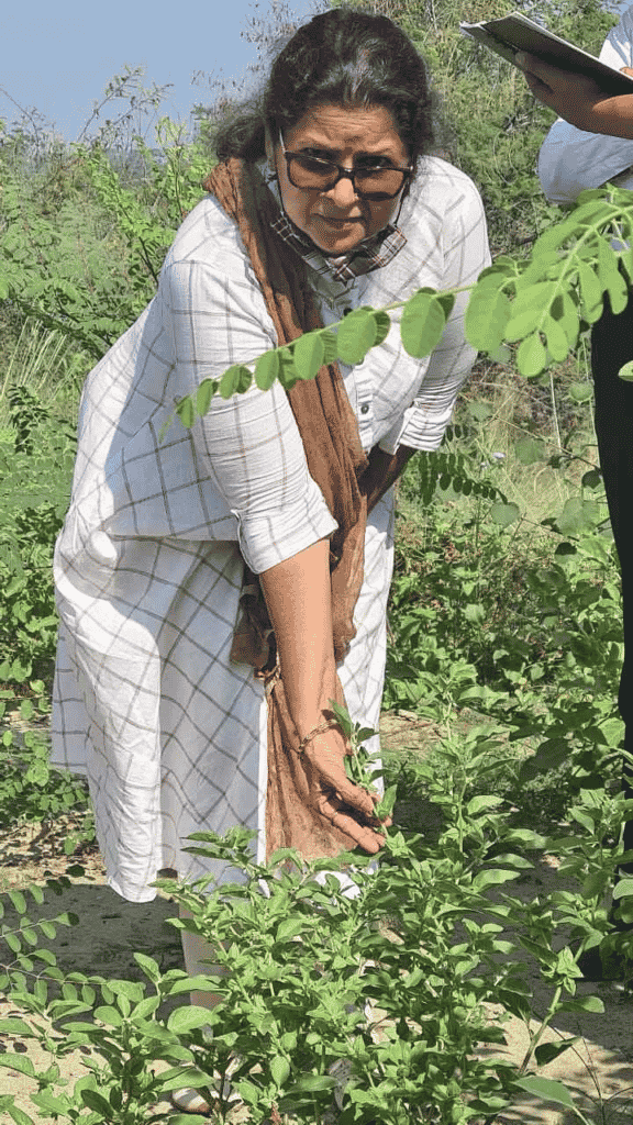 Reeva in her farm in Una 