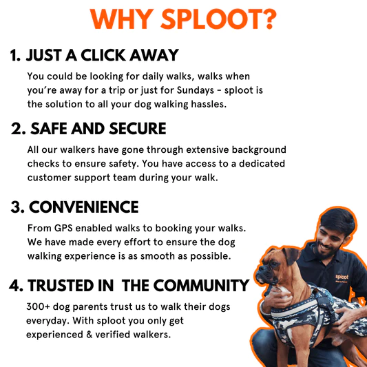 Why sploot?
1. JUST A CLICK AWAY
You could be looking for daily walks, walks when you're away for a trip or just for Sundays - sploot is the solution to all your dog walking hassles.

2. SAFE AND SECURE
All our walkers have gone through extensive background
checks to ensure safety. You have access to a dedicated
customer support team during your walk.

3. CONVENIENCE
From GPS enabled walks to booking your walks.
We have made every effort to ensure the dog
walking experience is as smooth as possible.

4. TRUSTED IN THE COMMUNITY
300+ dog parents trust us to walk their dogs
everyday. With sploot you only get
experienced & verified walkers