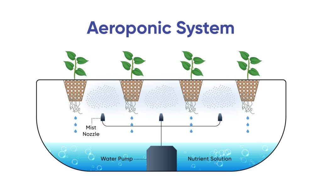 Aeropnic System in Macrogardens