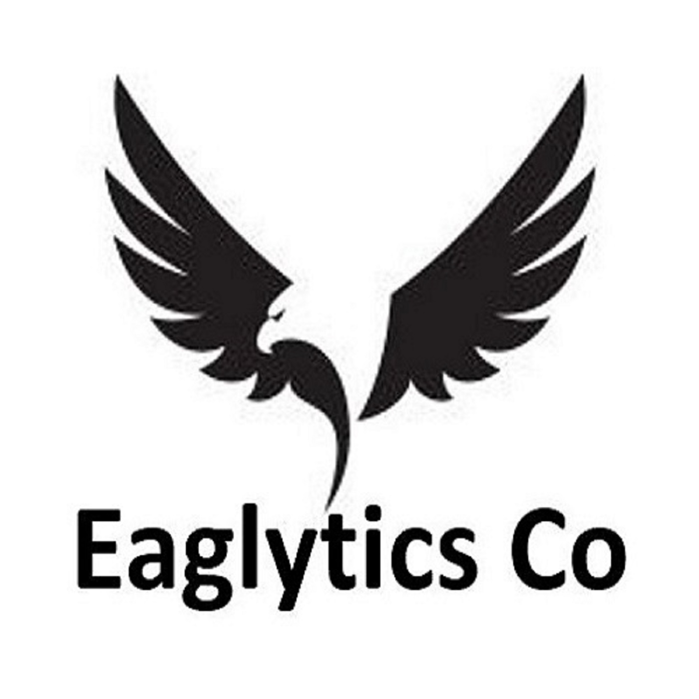 Eaglytics-Co-2-Copy