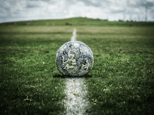 Green Glory: How Sustainability Powers Sports Organizations’ Financial Future